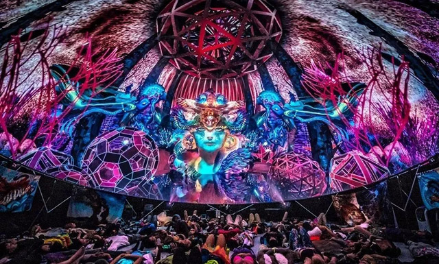 ��ɼ������ʢ��:Wisdome����ʽ������԰