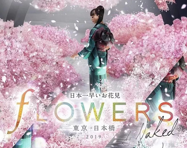 日本“Flowers by Naked”新媒体艺术展