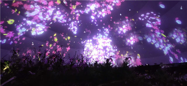 首届三亚国际花卉旅游节360度球幕光影秀